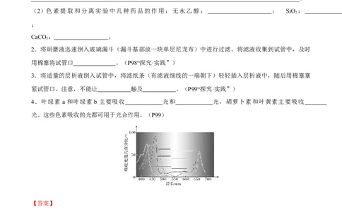 考点通关卷10光合作用（解析版）_新高考复习资料_2025年新高考资料_2025年高考生物一轮复习考点通关卷（新高考通用）