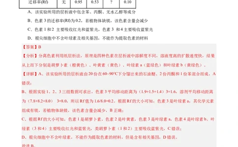 考点通关卷10光合作用（解析版）_新高考复习资料_2025年新高考资料_2025年高考生物一轮复习考点通关卷（新高考通用）