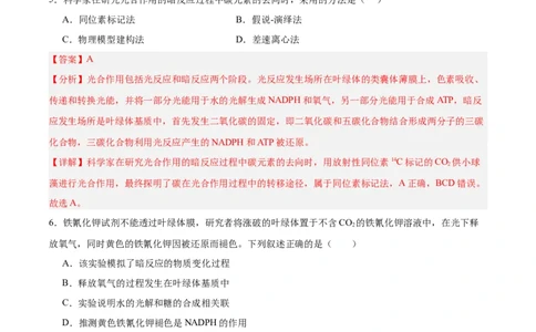 考点通关卷10光合作用（解析版）_新高考复习资料_2025年新高考资料_2025年高考生物一轮复习考点通关卷（新高考通用）