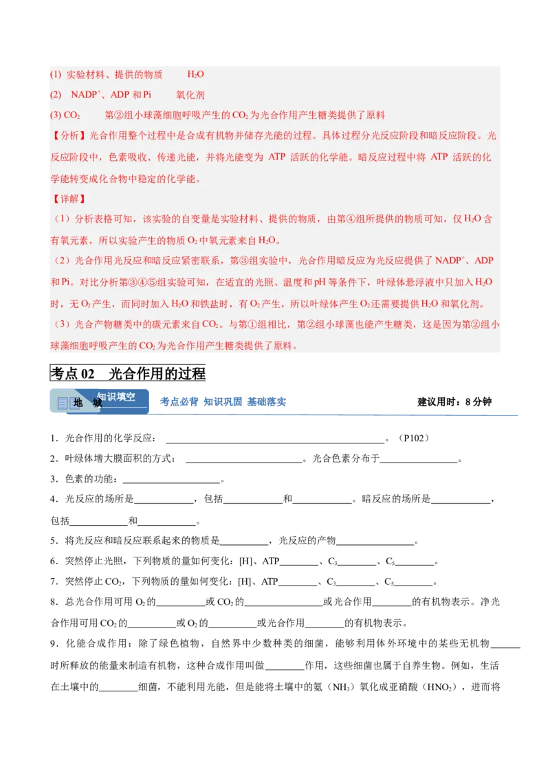 考点通关卷10光合作用（解析版）_新高考复习资料_2025年新高考资料_2025年高考生物一轮复习考点通关卷（新高考通用）
