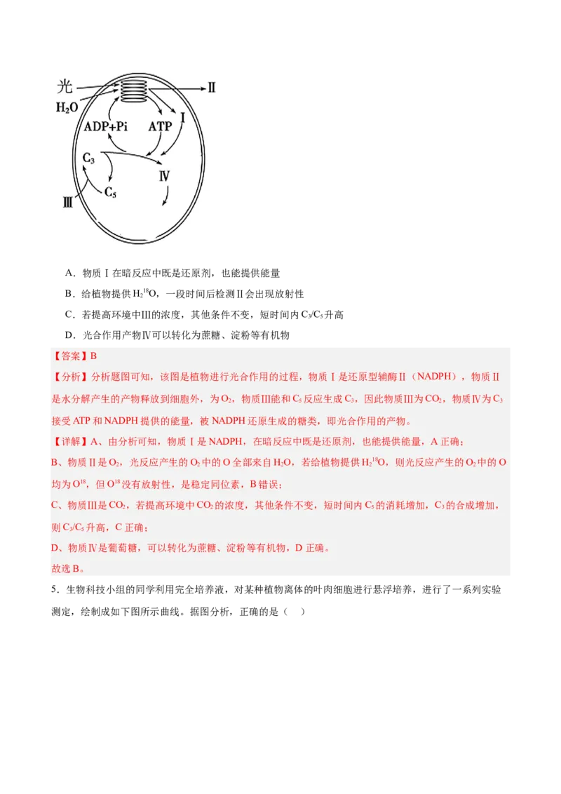 考点通关卷10光合作用（解析版）_新高考复习资料_2025年新高考资料_2025年高考生物一轮复习考点通关卷（新高考通用）