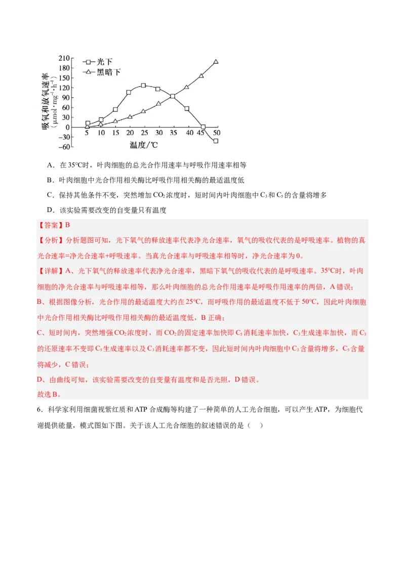 考点通关卷10光合作用（解析版）_新高考复习资料_2025年新高考资料_2025年高考生物一轮复习考点通关卷（新高考通用）