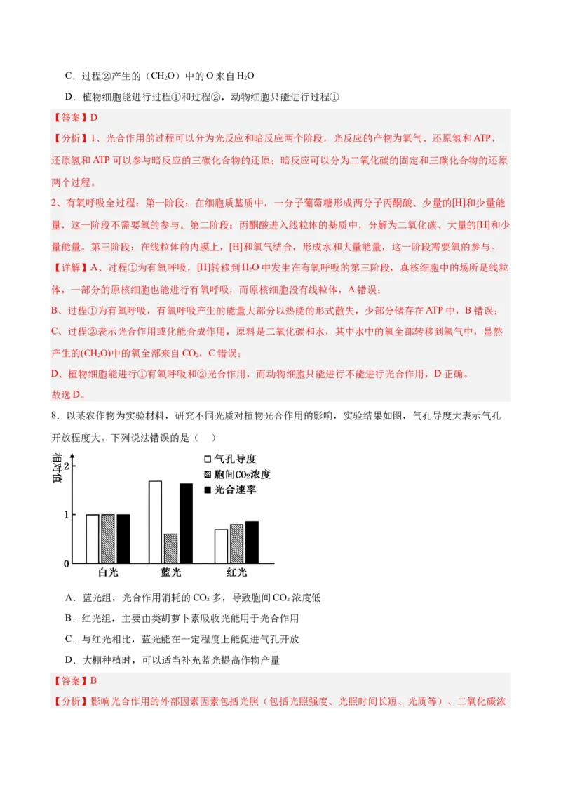 考点通关卷10光合作用（解析版）_新高考复习资料_2025年新高考资料_2025年高考生物一轮复习考点通关卷（新高考通用）