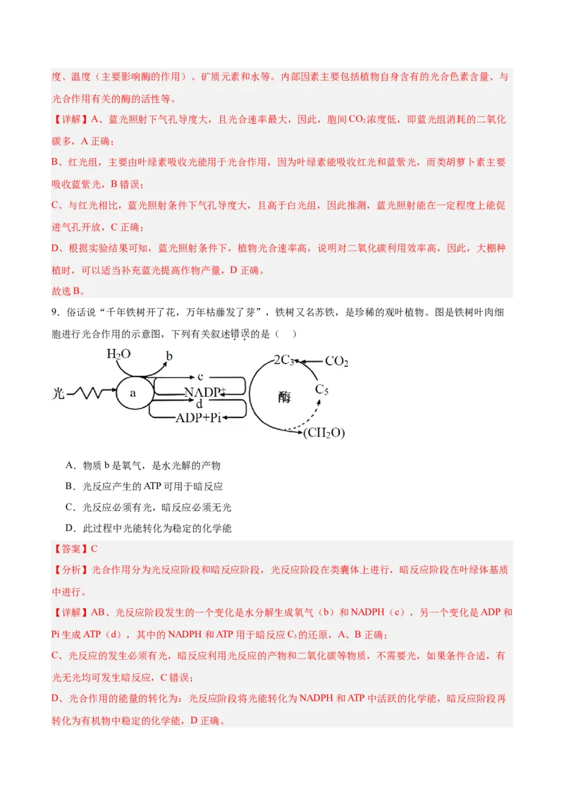 考点通关卷10光合作用（解析版）_新高考复习资料_2025年新高考资料_2025年高考生物一轮复习考点通关卷（新高考通用）