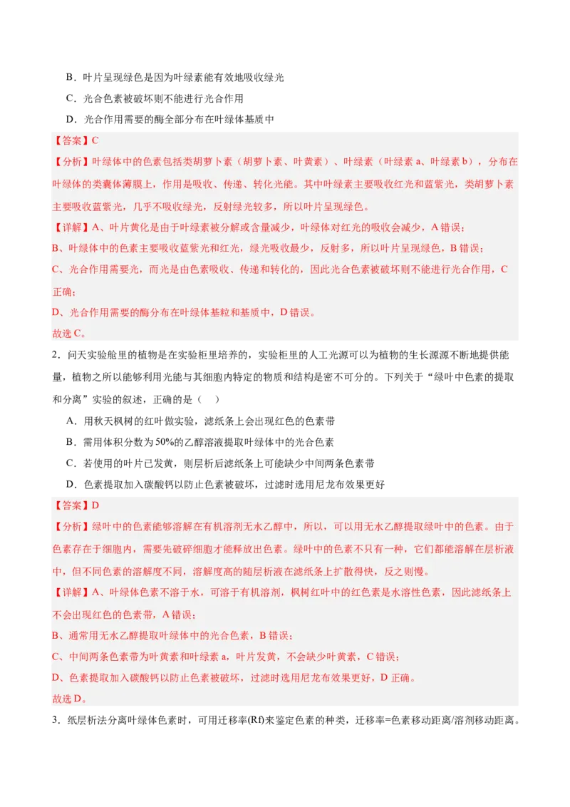 考点通关卷10光合作用（解析版）_新高考复习资料_2025年新高考资料_2025年高考生物一轮复习考点通关卷（新高考通用）