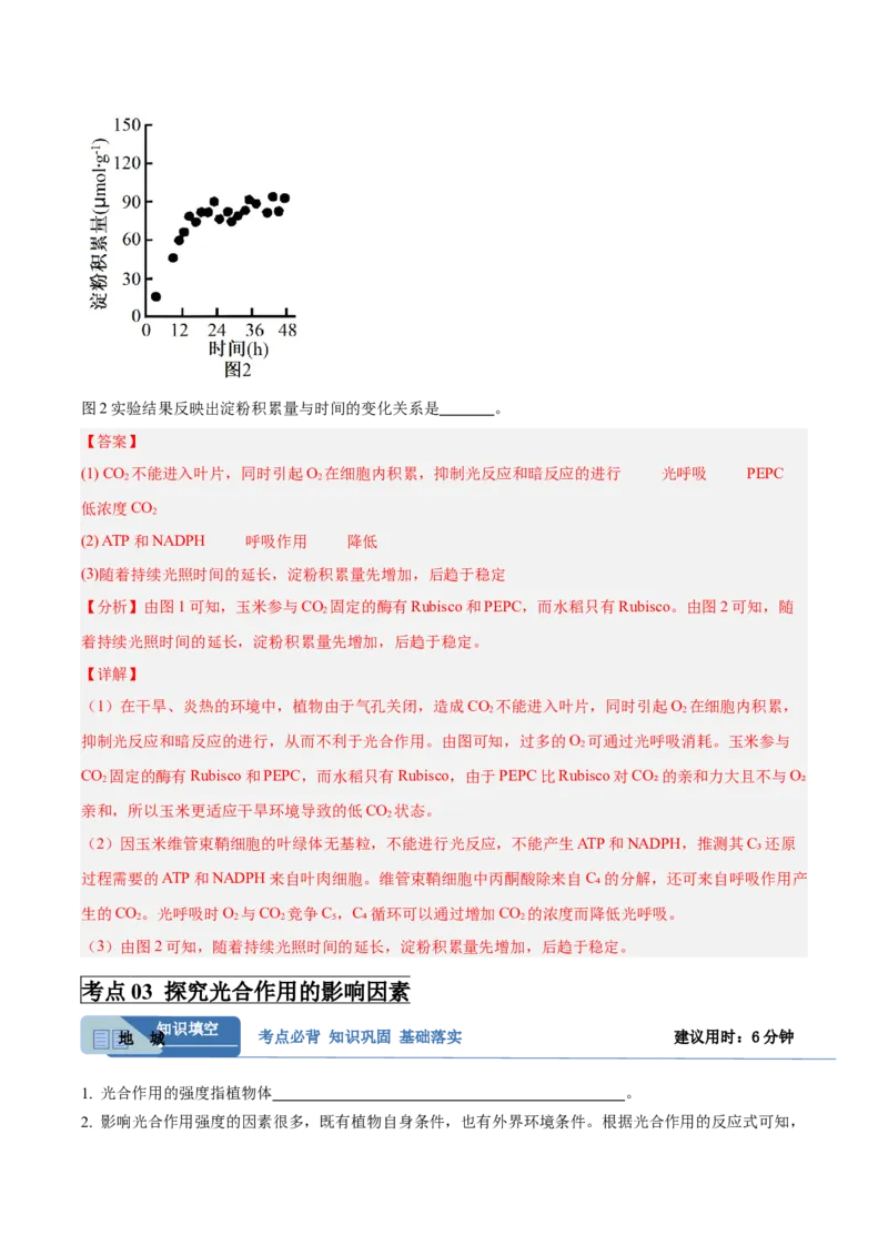 考点通关卷10光合作用（解析版）_新高考复习资料_2025年新高考资料_2025年高考生物一轮复习考点通关卷（新高考通用）