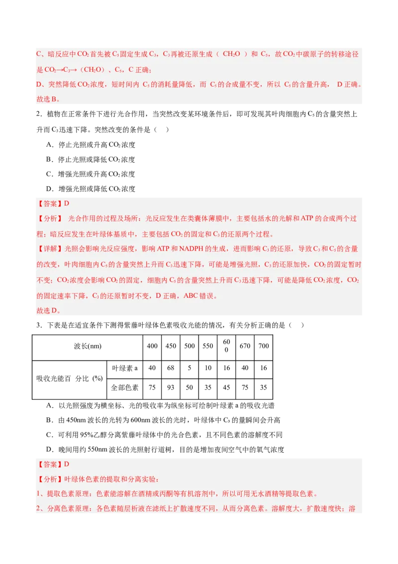 考点通关卷10光合作用（解析版）_新高考复习资料_2025年新高考资料_2025年高考生物一轮复习考点通关卷（新高考通用）
