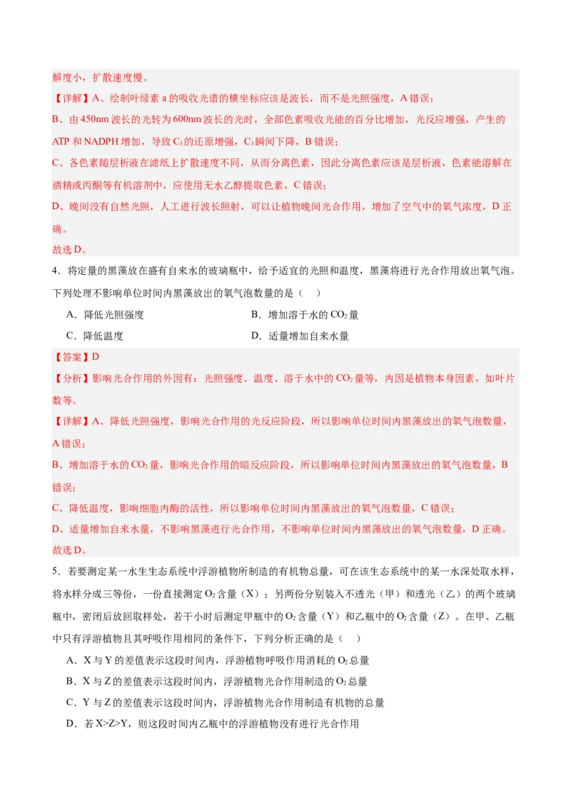 考点通关卷10光合作用（解析版）_新高考复习资料_2025年新高考资料_2025年高考生物一轮复习考点通关卷（新高考通用）
