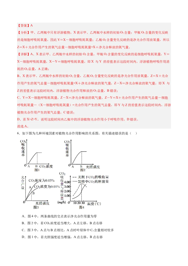 考点通关卷10光合作用（解析版）_新高考复习资料_2025年新高考资料_2025年高考生物一轮复习考点通关卷（新高考通用）