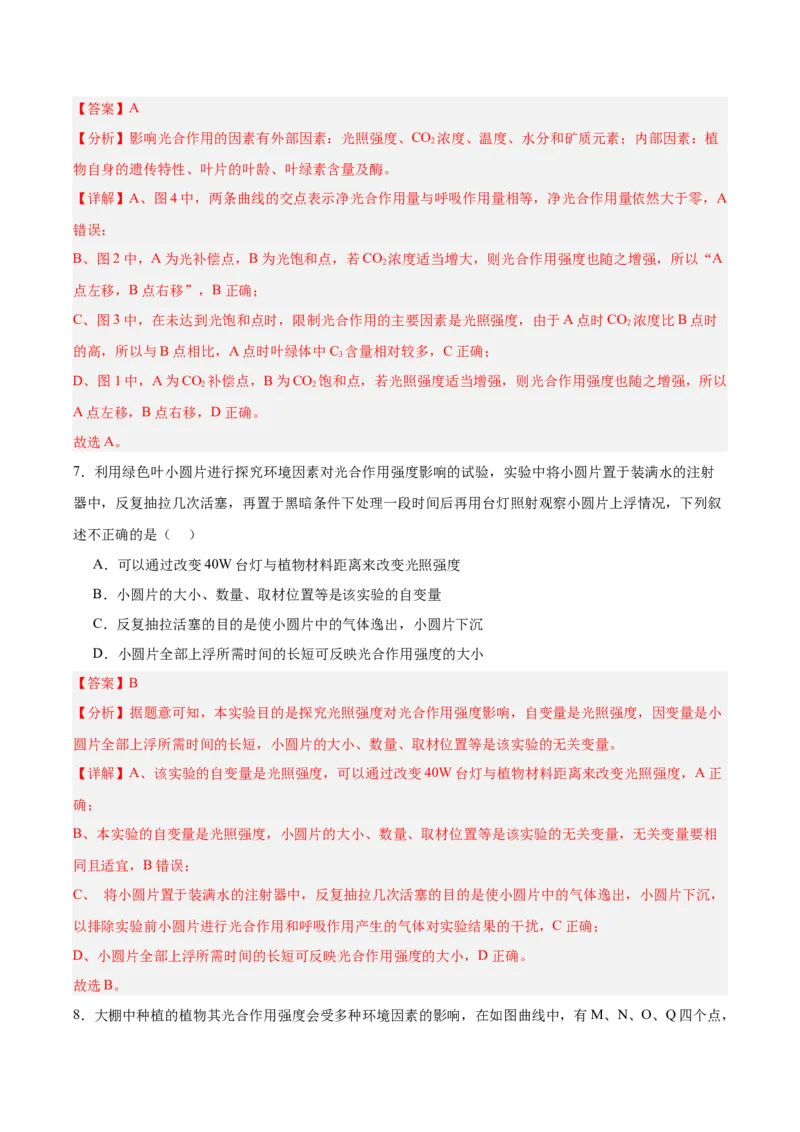 考点通关卷10光合作用（解析版）_新高考复习资料_2025年新高考资料_2025年高考生物一轮复习考点通关卷（新高考通用）