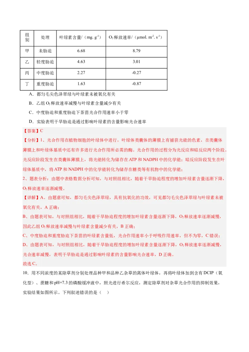 考点通关卷10光合作用（解析版）_新高考复习资料_2025年新高考资料_2025年高考生物一轮复习考点通关卷（新高考通用）