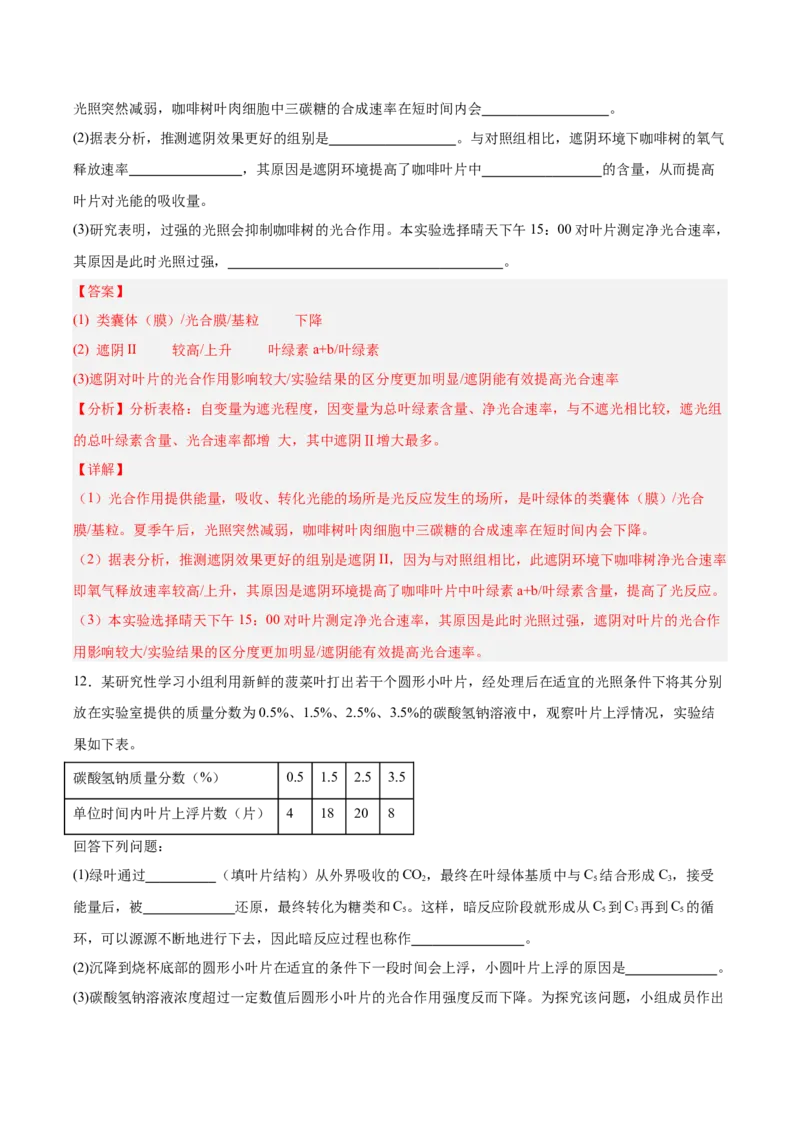考点通关卷10光合作用（解析版）_新高考复习资料_2025年新高考资料_2025年高考生物一轮复习考点通关卷（新高考通用）