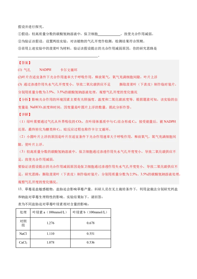 考点通关卷10光合作用（解析版）_新高考复习资料_2025年新高考资料_2025年高考生物一轮复习考点通关卷（新高考通用）