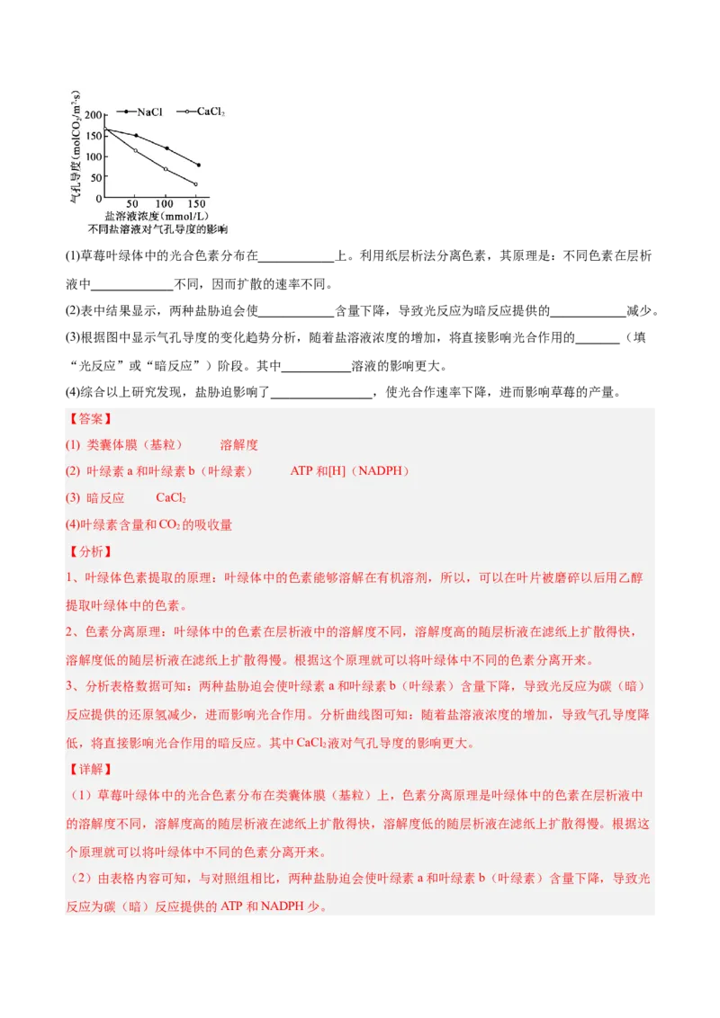 考点通关卷10光合作用（解析版）_新高考复习资料_2025年新高考资料_2025年高考生物一轮复习考点通关卷（新高考通用）