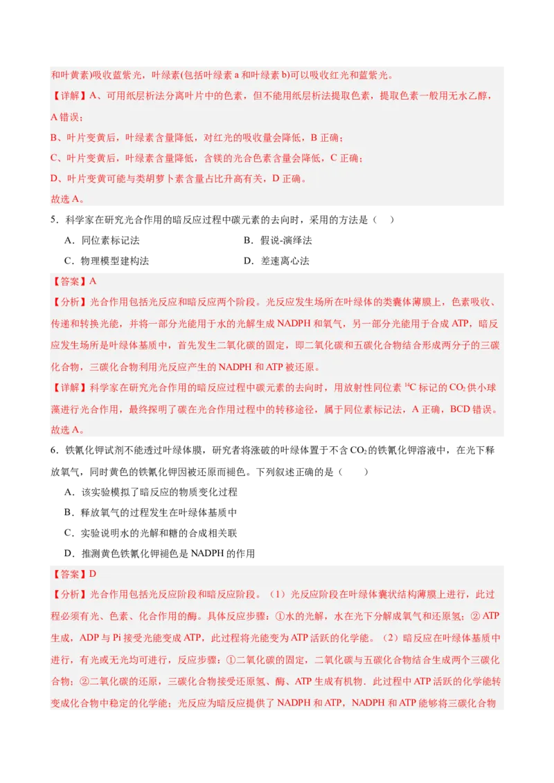 考点通关卷10光合作用（解析版）_新高考复习资料_2025年新高考资料_2025年高考生物一轮复习考点通关卷（新高考通用）