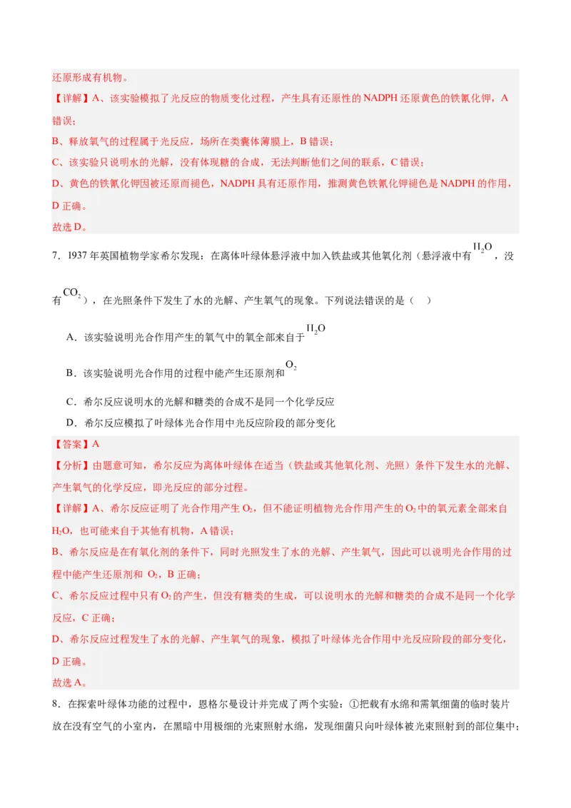 考点通关卷10光合作用（解析版）_新高考复习资料_2025年新高考资料_2025年高考生物一轮复习考点通关卷（新高考通用）