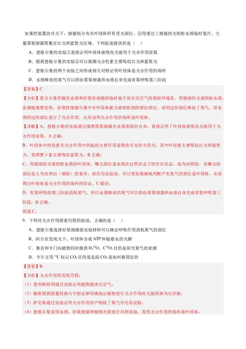 考点通关卷10光合作用（解析版）_新高考复习资料_2025年新高考资料_2025年高考生物一轮复习考点通关卷（新高考通用）