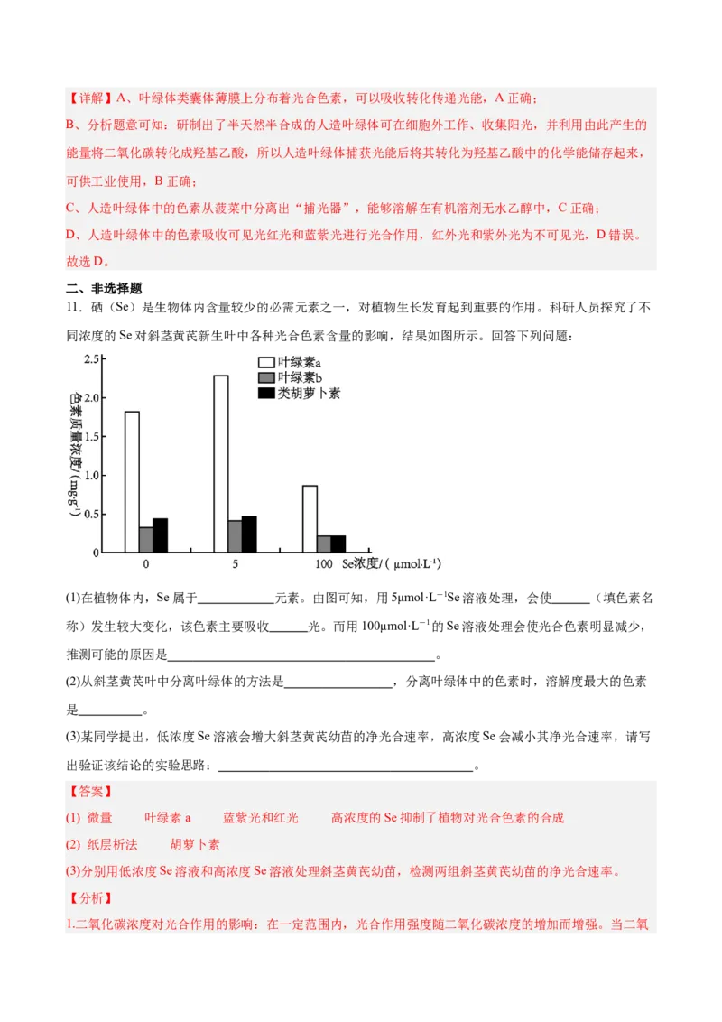 考点通关卷10光合作用（解析版）_新高考复习资料_2025年新高考资料_2025年高考生物一轮复习考点通关卷（新高考通用）