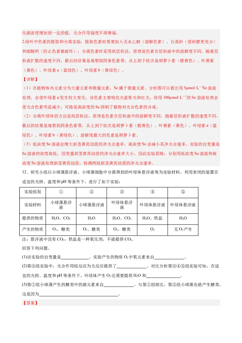 考点通关卷10光合作用（解析版）_新高考复习资料_2025年新高考资料_2025年高考生物一轮复习考点通关卷（新高考通用）