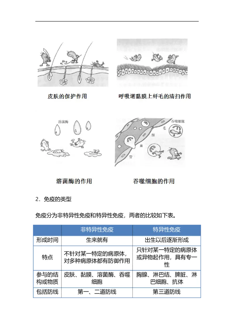 专题19传染病与免疫-备战2023年中考生物核心考点梳理与必背_6生物中考复习_2023年中考复习资料_专项复习_备战2023年中考生物核心考点梳理与必背
