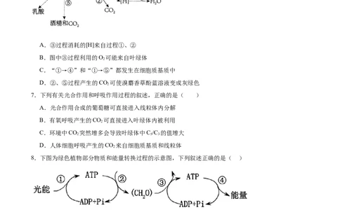 考点通关卷11细胞代谢综合分析（原卷版）_2025年新高考资料_一轮复习_2025年高考生物一轮复习考点通关卷（新高考通用）
