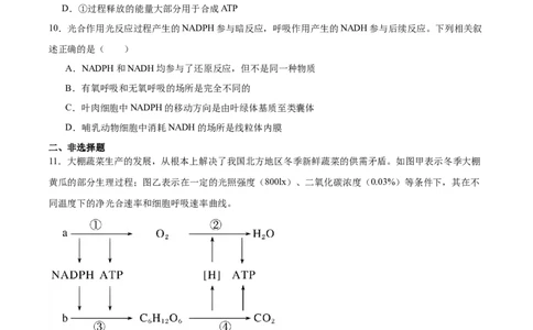 考点通关卷11细胞代谢综合分析（原卷版）_2025年新高考资料_一轮复习_2025年高考生物一轮复习考点通关卷（新高考通用）