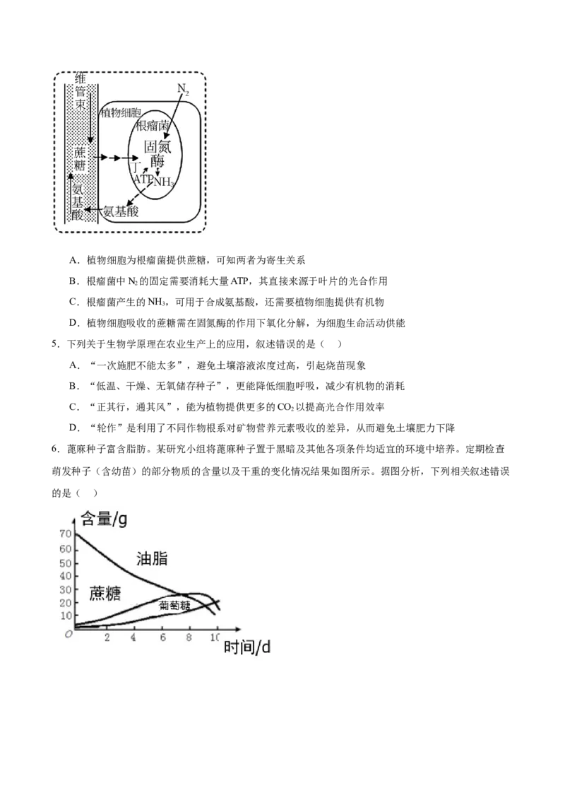 考点通关卷11细胞代谢综合分析（原卷版）_2025年新高考资料_一轮复习_2025年高考生物一轮复习考点通关卷（新高考通用）