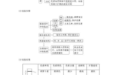 考点12光合作用（核心考点讲与练）-2023年高考生物一轮复习讲练测（全国通用）（原卷版）_通用版（老高考）复习资料_2023年复习资料_一轮复习