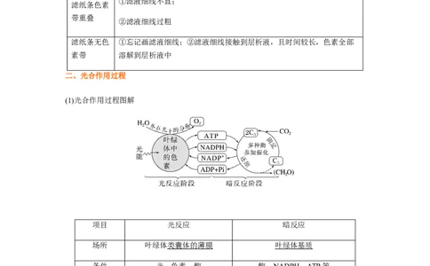 考点12光合作用（核心考点讲与练）-2023年高考生物一轮复习讲练测（全国通用）（原卷版）_通用版（老高考）复习资料_2023年复习资料_一轮复习
