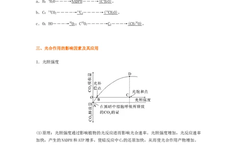 考点12光合作用（核心考点讲与练）-2023年高考生物一轮复习讲练测（全国通用）（原卷版）_通用版（老高考）复习资料_2023年复习资料_一轮复习