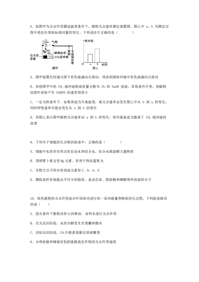 考点12光合作用（核心考点讲与练）-2023年高考生物一轮复习讲练测（全国通用）（原卷版）_通用版（老高考）复习资料_2023年复习资料_一轮复习