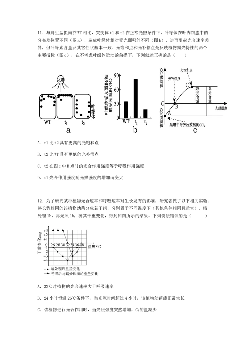考点12光合作用（核心考点讲与练）-2023年高考生物一轮复习讲练测（全国通用）（原卷版）_通用版（老高考）复习资料_2023年复习资料_一轮复习