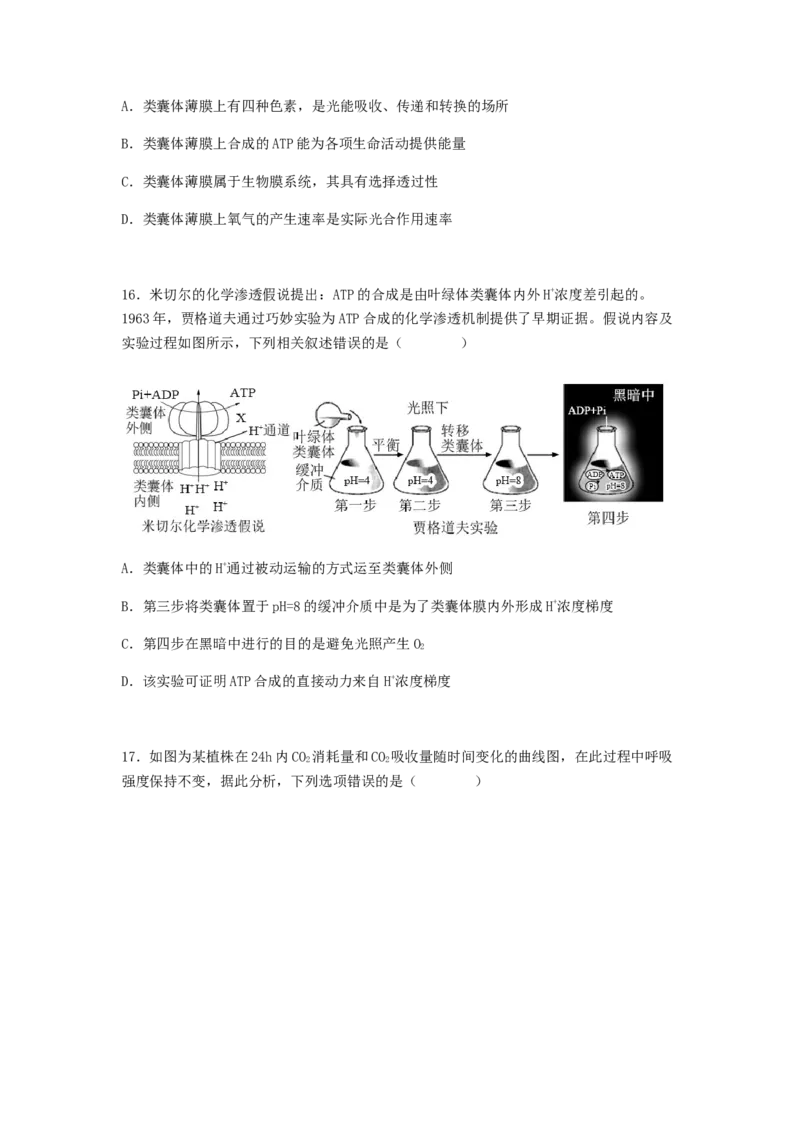 考点12光合作用（核心考点讲与练）-2023年高考生物一轮复习讲练测（全国通用）（原卷版）_通用版（老高考）复习资料_2023年复习资料_一轮复习