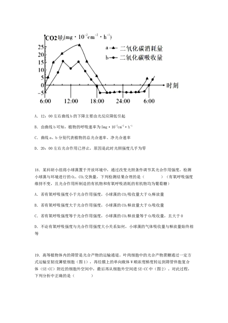 考点12光合作用（核心考点讲与练）-2023年高考生物一轮复习讲练测（全国通用）（原卷版）_通用版（老高考）复习资料_2023年复习资料_一轮复习