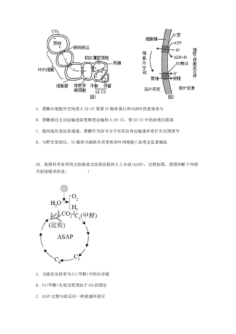考点12光合作用（核心考点讲与练）-2023年高考生物一轮复习讲练测（全国通用）（原卷版）_通用版（老高考）复习资料_2023年复习资料_一轮复习