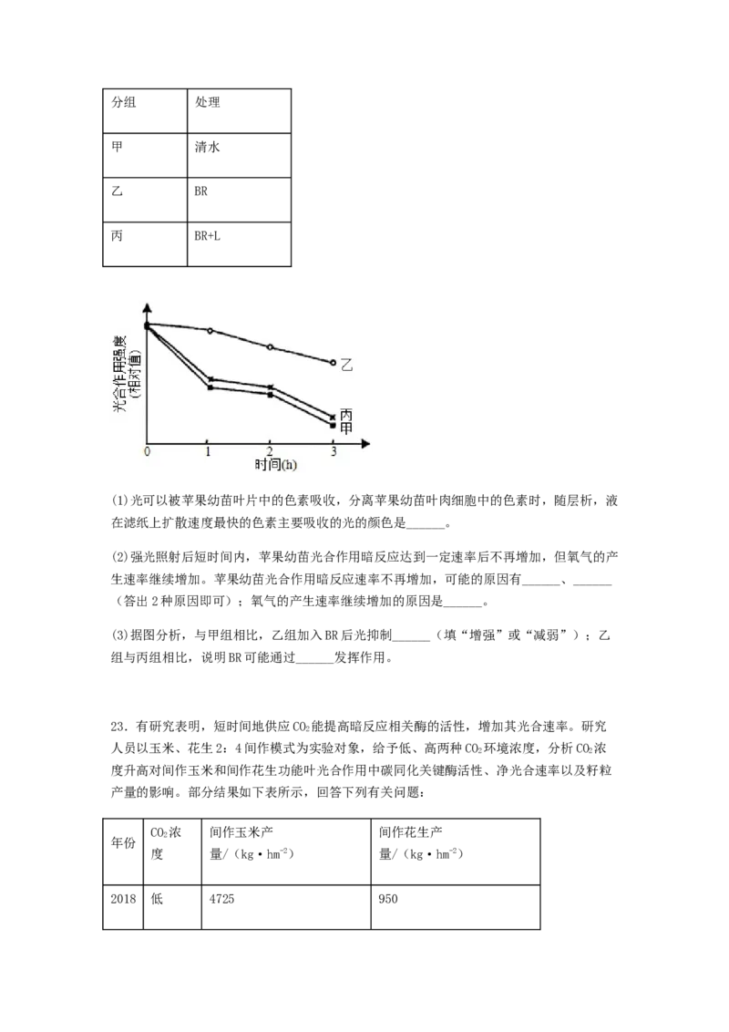 考点12光合作用（核心考点讲与练）-2023年高考生物一轮复习讲练测（全国通用）（原卷版）_通用版（老高考）复习资料_2023年复习资料_一轮复习
