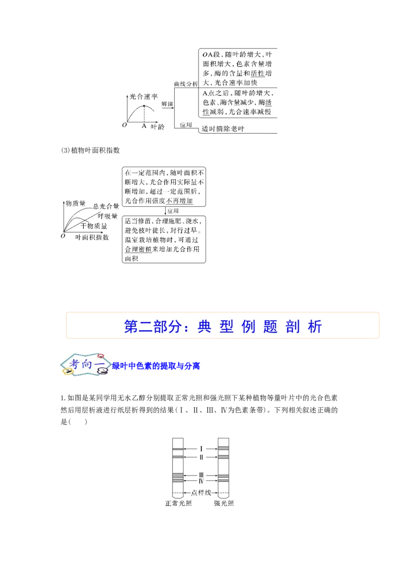 考点12光合作用（核心考点讲与练）-2023年高考生物一轮复习讲练测（全国通用）（原卷版）_通用版（老高考）复习资料_2023年复习资料_一轮复习