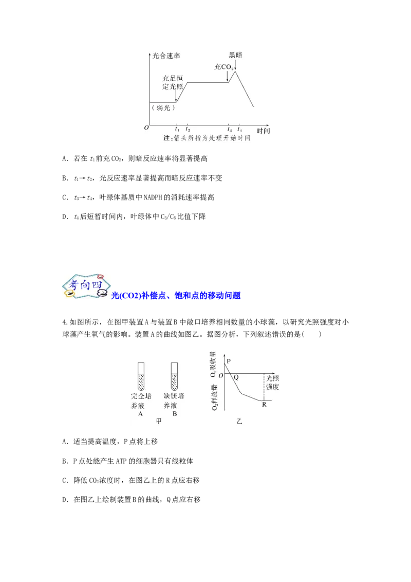 考点12光合作用（核心考点讲与练）-2023年高考生物一轮复习讲练测（全国通用）（原卷版）_通用版（老高考）复习资料_2023年复习资料_一轮复习