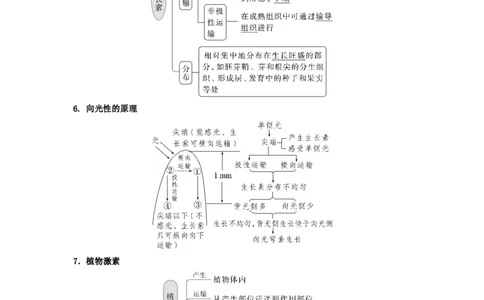 考点28植物生命活动的调节（原卷版）_通用版（老高考）复习资料_2023年复习资料_一轮复习_2023年高考生物一轮复习讲练测（全国通用）