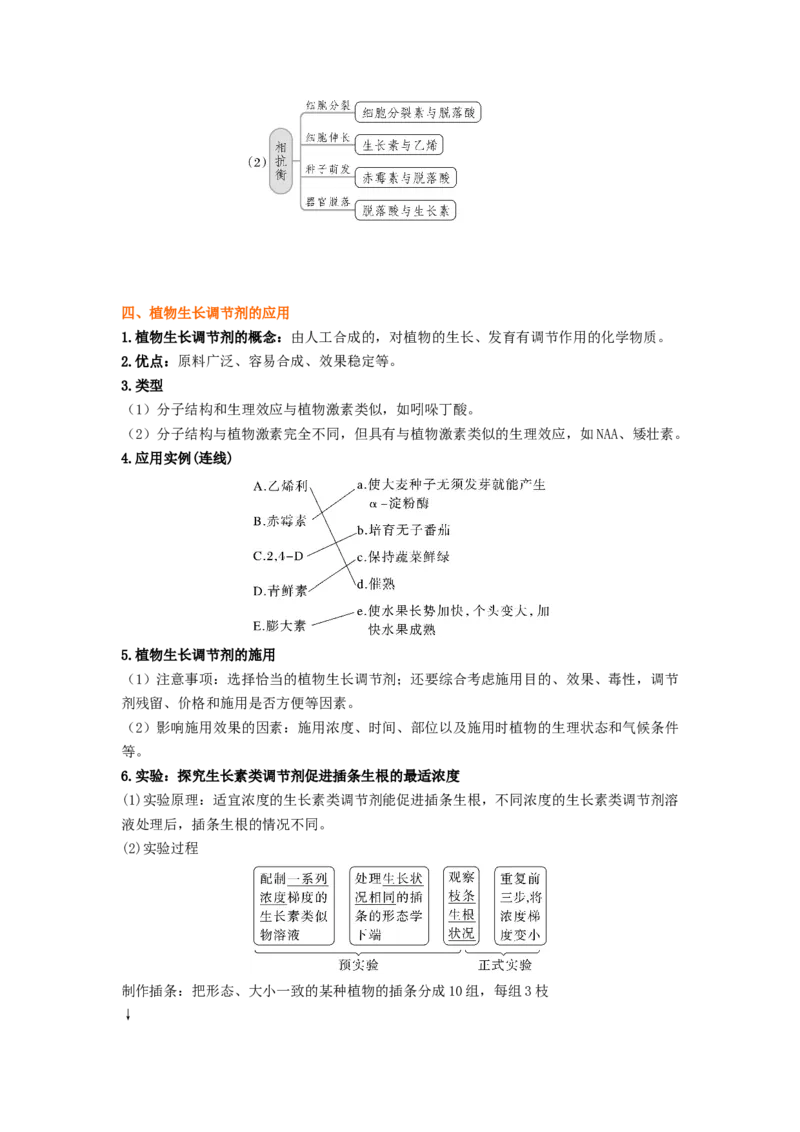 考点28植物生命活动的调节（原卷版）_通用版（老高考）复习资料_2023年复习资料_一轮复习_2023年高考生物一轮复习讲练测（全国通用）