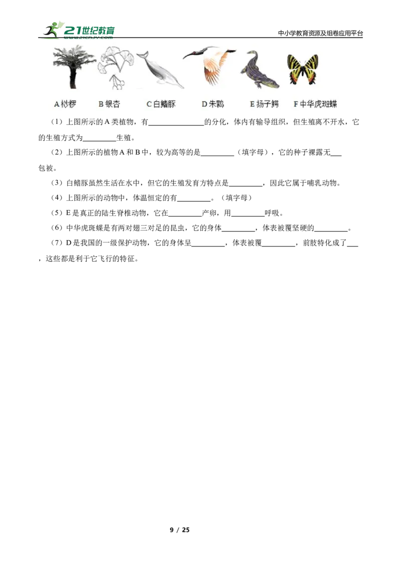 人教版2023届中考一轮复习专用训练卷&mdash;专题17动物的主要类群（含解析）_6生物中考复习_2023年中考复习资料_一轮复习_人教版2023届中考生物一轮复习专用训练卷