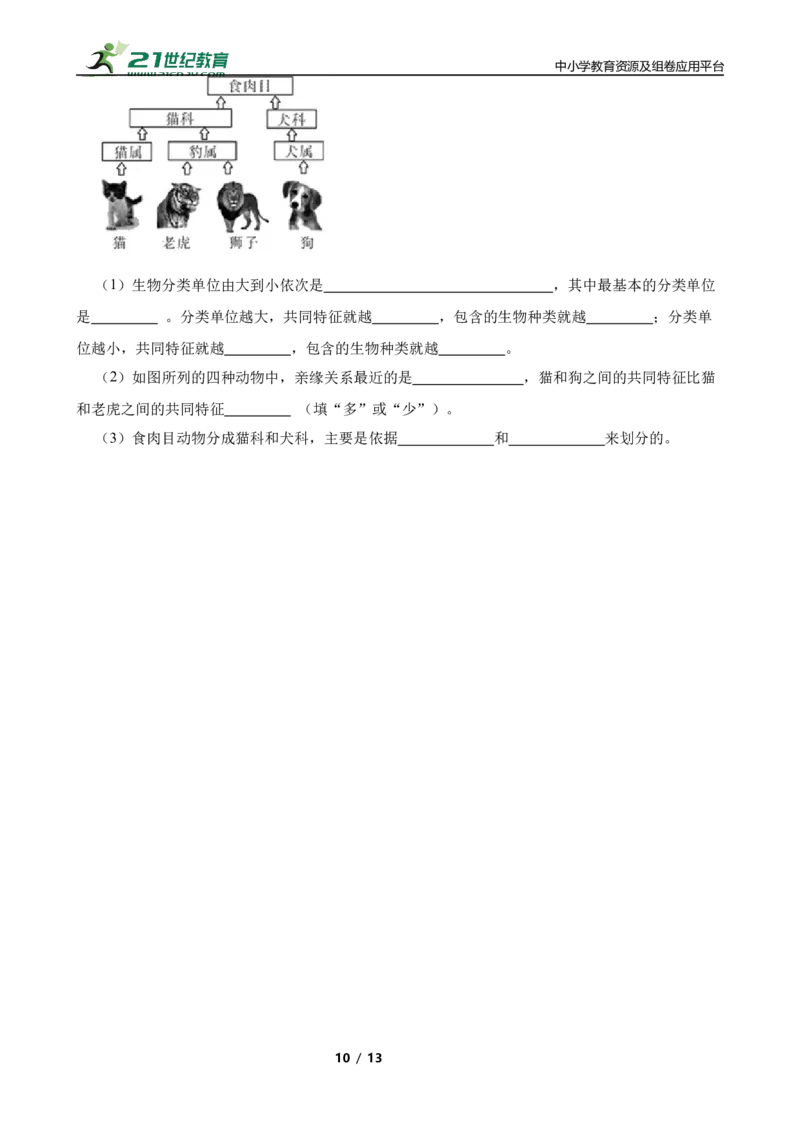人教版2023届中考一轮复习专用训练卷&mdash;专题20生物的多样性及其保护（含答案）_6生物中考复习_2023年中考复习资料_一轮复习_人教版2023届中考生物一轮复习专用训练卷