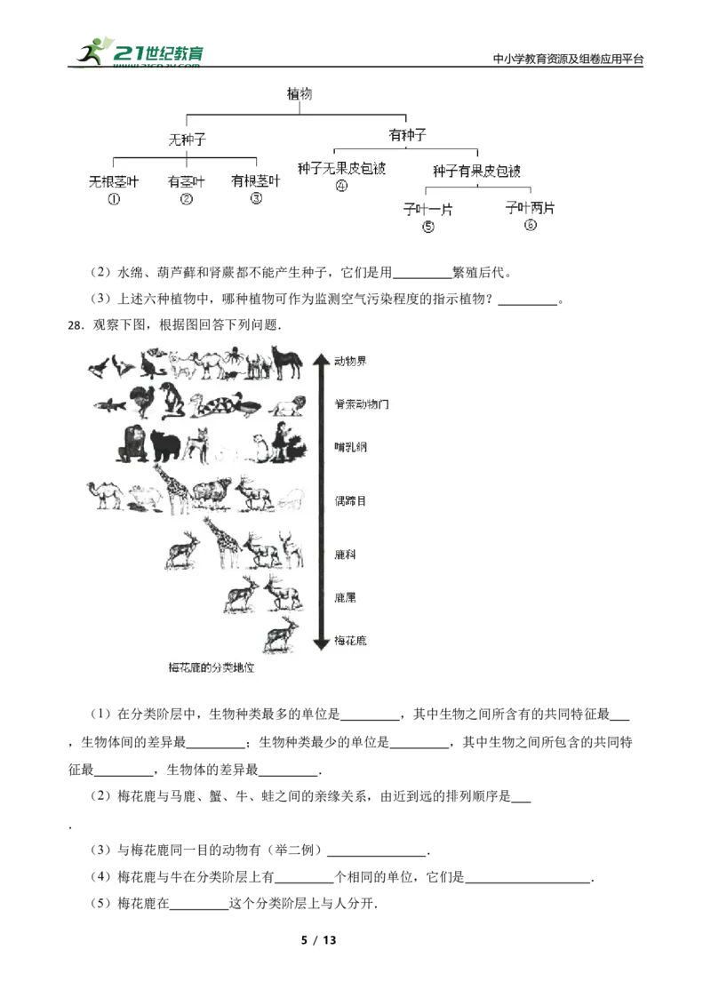 人教版2023届中考一轮复习专用训练卷&mdash;专题20生物的多样性及其保护（含答案）_6生物中考复习_2023年中考复习资料_一轮复习_人教版2023届中考生物一轮复习专用训练卷