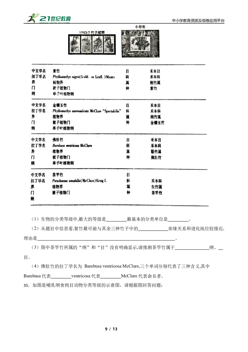 人教版2023届中考一轮复习专用训练卷&mdash;专题20生物的多样性及其保护（含答案）_6生物中考复习_2023年中考复习资料_一轮复习_人教版2023届中考生物一轮复习专用训练卷