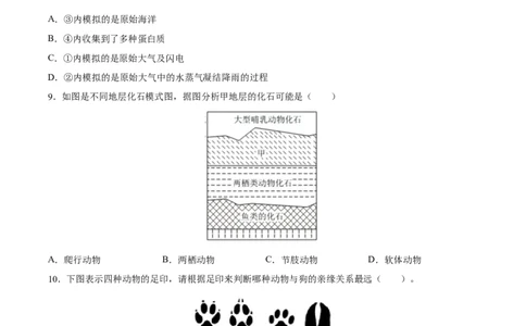 专题22生命的起源和生物进化（习题精练）-省心备考2024年中考生物一轮复习精讲精练（全国通用）（原卷版）_6生物中考复习_2024年中考复习资料_一轮复习资料