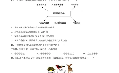 专题22生命的起源和生物进化（习题精练）-省心备考2024年中考生物一轮复习精讲精练（全国通用）（原卷版）_6生物中考复习_2024年中考复习资料_一轮复习资料