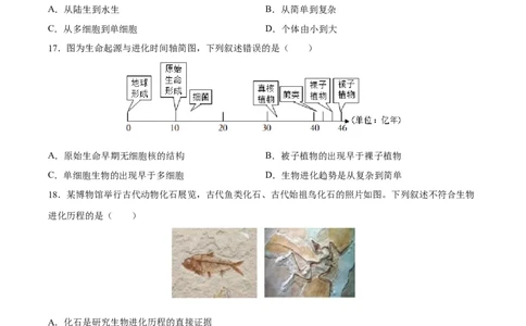 专题22生命的起源和生物进化（习题精练）-省心备考2024年中考生物一轮复习精讲精练（全国通用）（原卷版）_6生物中考复习_2024年中考复习资料_一轮复习资料