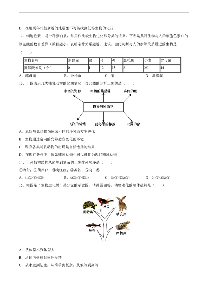 专题22生命的起源和生物进化（习题精练）-省心备考2024年中考生物一轮复习精讲精练（全国通用）（原卷版）_6生物中考复习_2024年中考复习资料_一轮复习资料