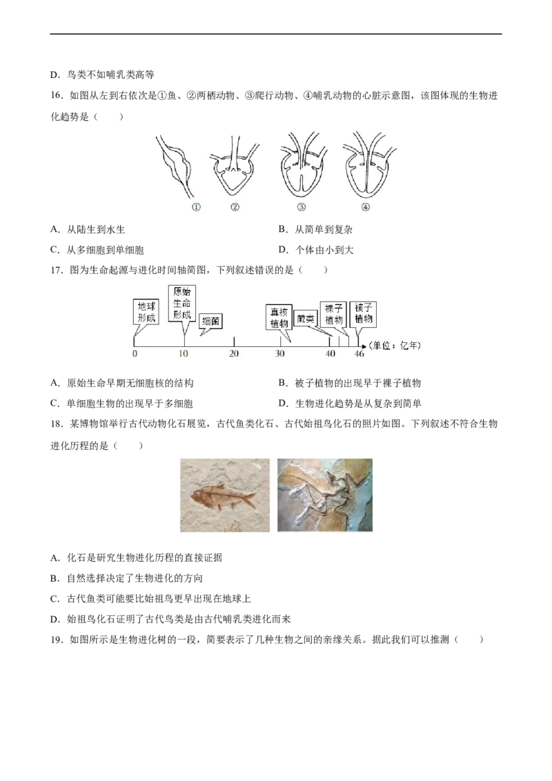 专题22生命的起源和生物进化（习题精练）-省心备考2024年中考生物一轮复习精讲精练（全国通用）（原卷版）_6生物中考复习_2024年中考复习资料_一轮复习资料