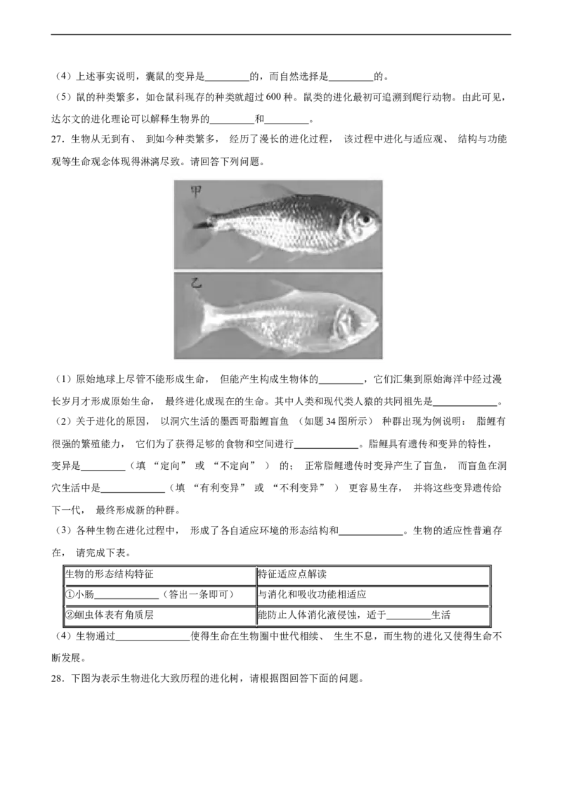 专题22生命的起源和生物进化（习题精练）-省心备考2024年中考生物一轮复习精讲精练（全国通用）（原卷版）_6生物中考复习_2024年中考复习资料_一轮复习资料